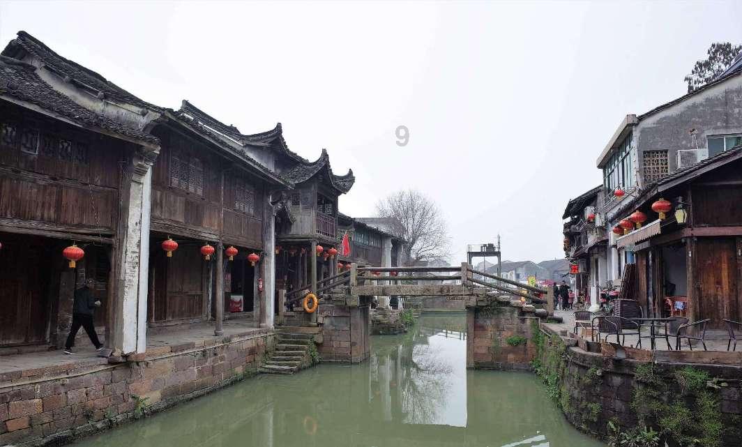 主人在医院死亡,忠犬每天守在医院门口,已经守了四个月仍在继续